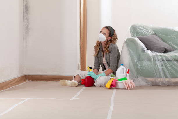 Reliable Mold Remediation contractor in Irving, TX by Mold Remediation HQ